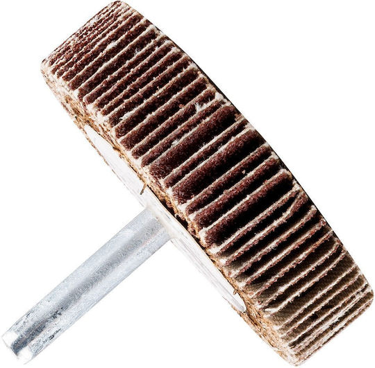 Flap Disc 60 X 15 X 6 Mm P40