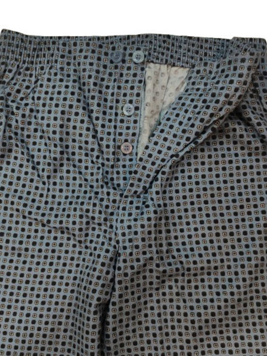 Lion Light Blue