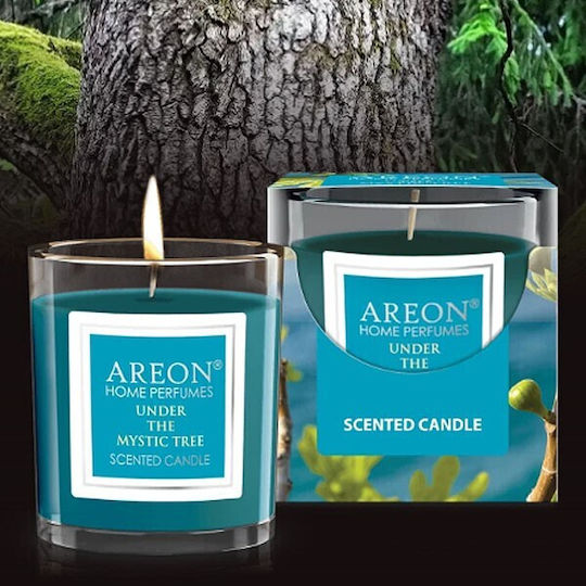 Areon Lumânare Aromatică la Borcan cu Miros Sub Copacul Mistic 120gr