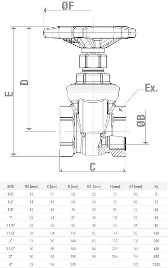 Giacomini R55y003 Gate Valve Brass 1/2” Internal Thread 16 Bar 110°c