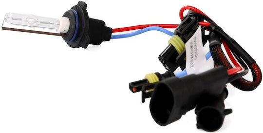 M-Tech Λάμπα Αυτοκινήτου HIR2-9012 Xenon 4300K Φυσικό Λευκό 12-24V 35W