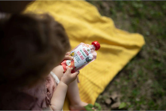 Holle Fruit-Vegetable Puree Fruit cream with Flavor Apple-Strawberry No Added Sugar 100gr for 8+ Months
