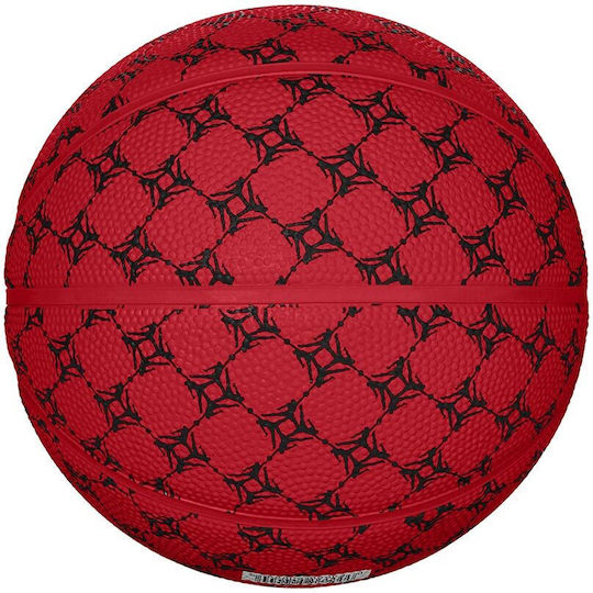 Jordan 2.0 Graphic Mini Mingea de baschet