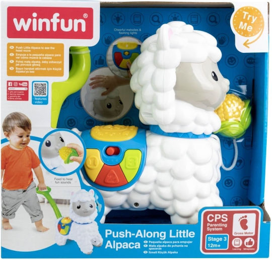 Winfun Baby Toy with Sounds for 12++ Months