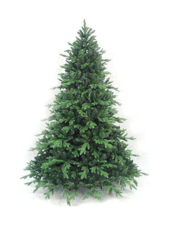 Christmas Tree Deaware Silver Fir 240cm with 3934 Branches