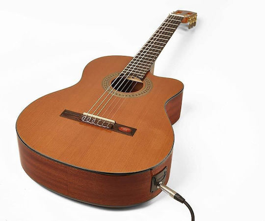 Cc10ce Salvador Cortez Student Series Electro-Classical Guitar