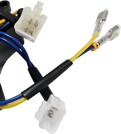 Avr Generator 2kw 250v 220f 8 Wires