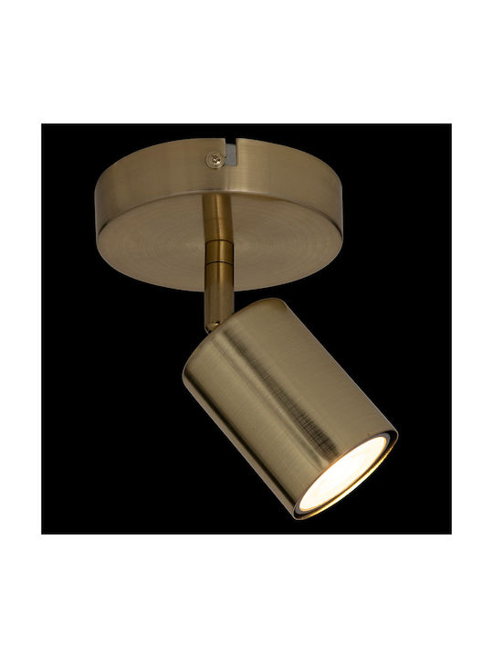 Single Spot with Socket GU10 in Gold Color