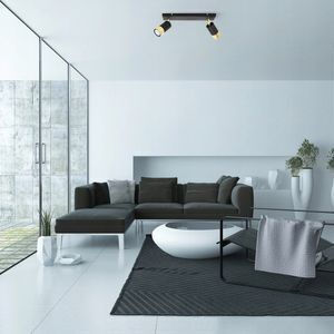 Light Home Spot with 11 Lights in Black Color