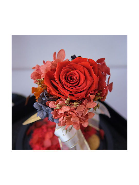 Crazy Love Arrangement Cryogenated Flowers Rose In Glass Dome Gift Box Red