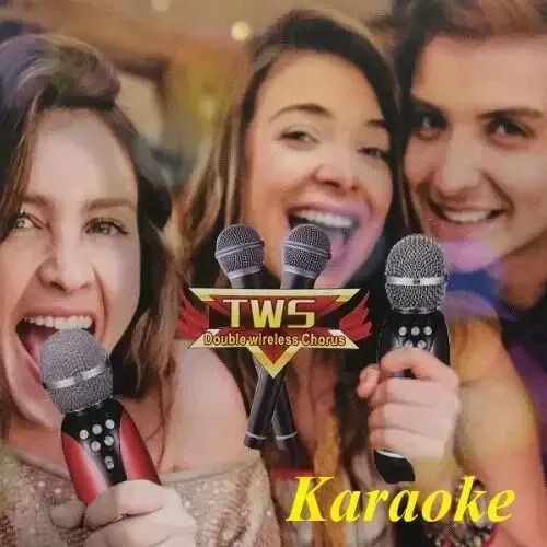 Andowl Kabelloses Karaoke-Mikrofon Q-mc899 Q-MC899 Schwarzes