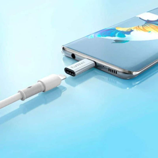 Earldom Et-ot104 8-pin To Usb-c Adapter