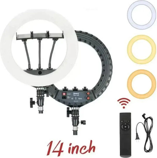 Ring Light 34cm with Mobile Phone Holder