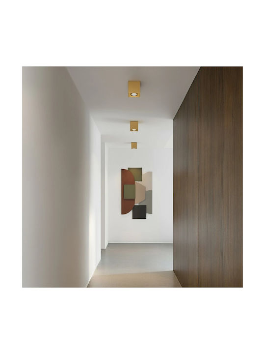kelvo Akira Spot with Socket GU10 in Gold Color