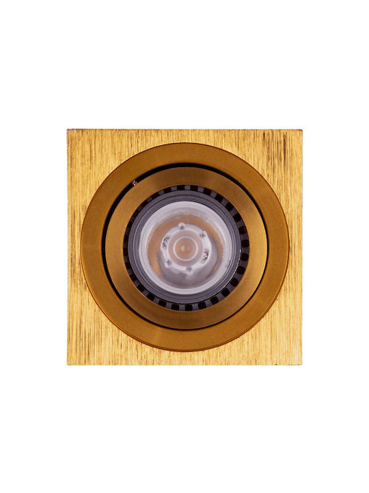 kelvo Akira Spot with Socket GU10 in Gold Color