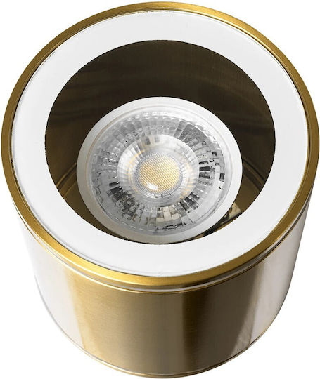 kelvo Maretti Spot with 10 Lights and with Socket GU10 in Gold Color