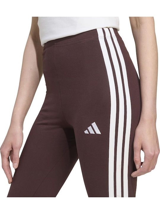 Women's Legging High Waisted Brown
