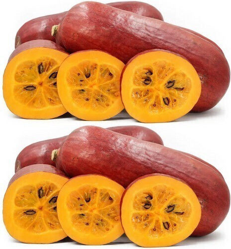 Tropical Cucumber Cassabanana 5 Seeds