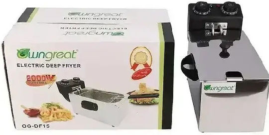 Factory Electric Fryer 2kW Capacity 4lt 41.5x18.8x24.8cm