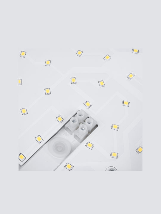 Maclean Energy Επιτοίχιο Εξωτερικό Φωτιστικό LED IP44 10W με Φυσικό Λευκό Φως