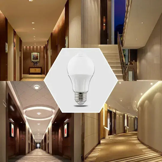 Aigostar Ντουί Λάμπα LED 6W για Ντουί E27 και Σχήμα A60 Θερμό Λευκό 540lm
