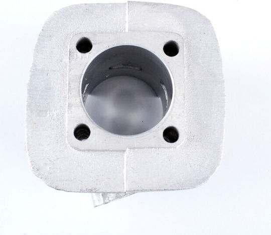 Siguranțe pentru Piston Motocicletă 45mm