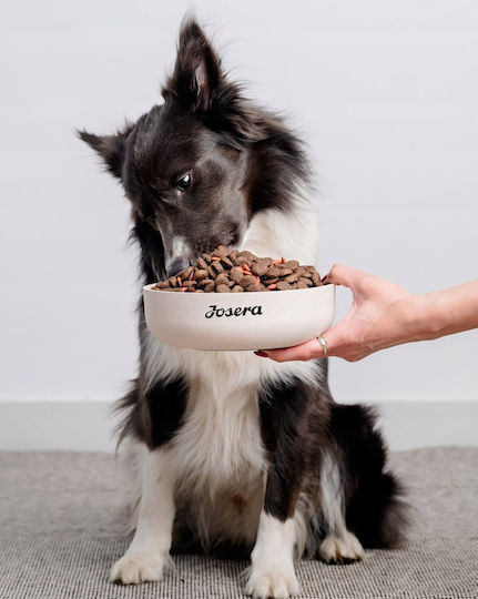 Josera Adult Festival Dry Dog Food 3kg