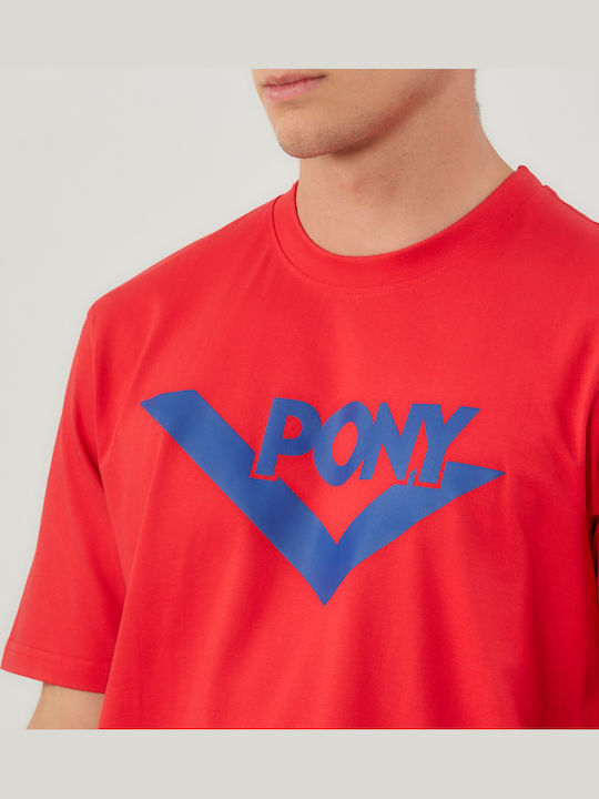 Pony
