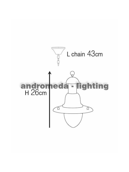 Andromeda Outdoor Hanging Ceiling Light E27 in Bronze Color 70