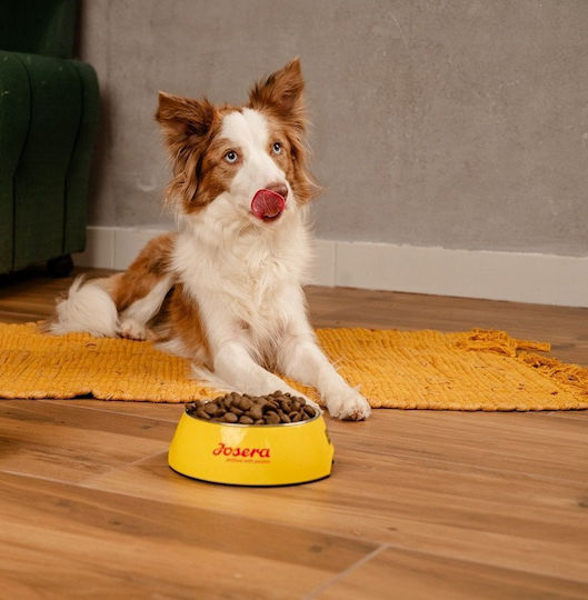 Josera Optiness 3kg Ξηρά Τροφή για Ενήλικους Σκύλους με Ρύζι και Αρνί