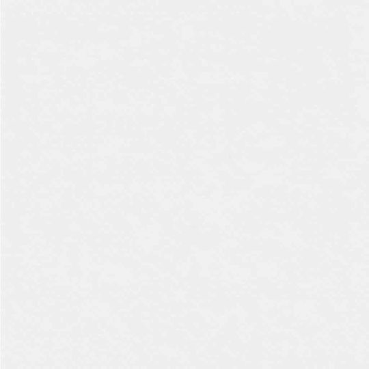 vidaXL 42020991 Antifreeze Cover Fabric 70gr/m² 20x3.2m White