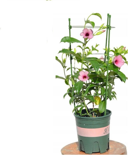 Set Στήριξης Φυτών 75cm Greenmill Ring Support
