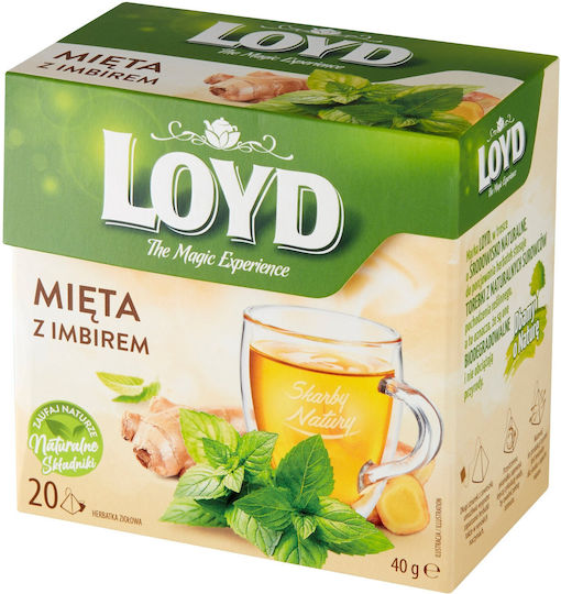 Loyd Herbal Tea Loyd Mint Ginger 20 Pyramid Bags