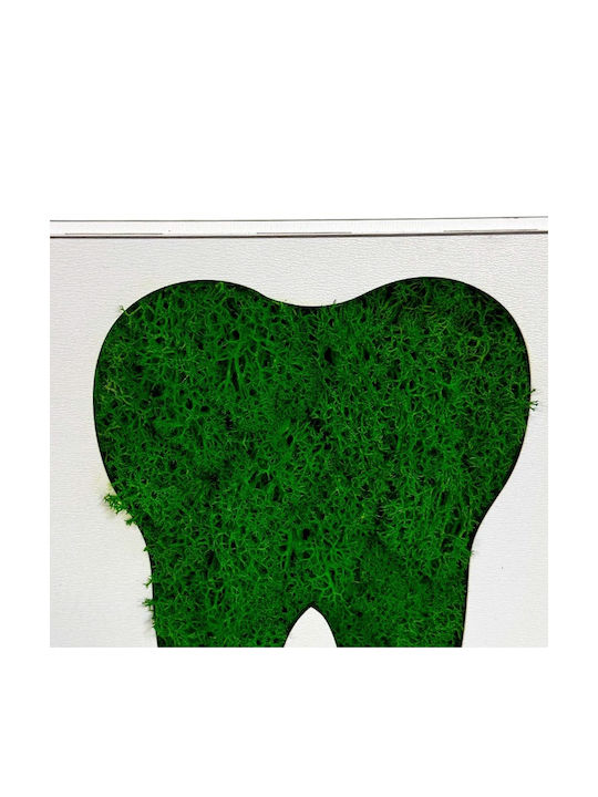 Green Smile Imagine Mușchi Natural Stabilizat Verde