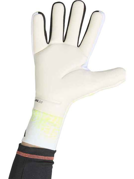 adidas Predator Pro Torwarthandschuhe Erwachsene Gelb
