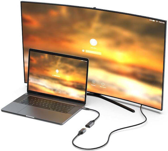Equip Μετατροπέας USB-C male σε DisplayPort female Γκρι (133493)