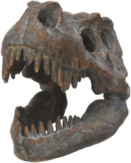 Nemesis Now Skull Figure 16cm