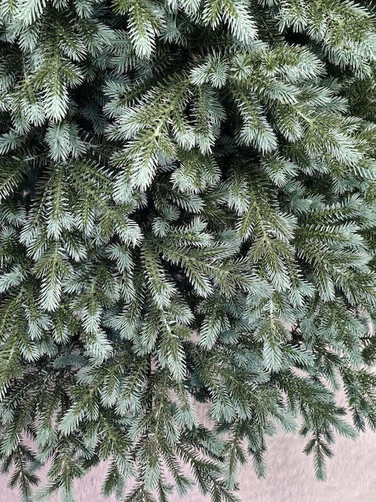 Christmas Tree Alaska 180cm with 771 Branches
