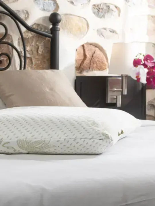 Alpha Foam Classic Aloe Vera Μαξιλάρι Ύπνου Memory Foam 42x65x16cm
