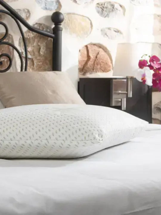 Alpha Foam Classic Aloe Vera Μαξιλάρι Ύπνου Memory Foam 42x65x16cm