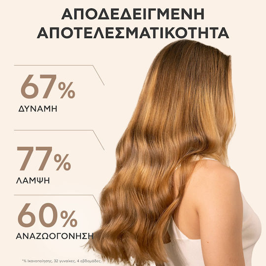 Apivita Royal Jelly Elixir Σαμπουάν Αναδόμησης/Θρέψης & Ενυδάτωσης για Εύθραυστα Μαλλιά 250ml