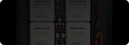 AURALiC DAC Black