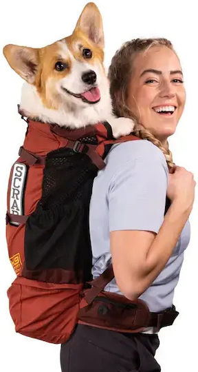 K9 Sport Sack Rucksack für Hunde Schwarz