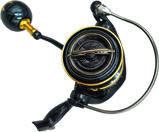 Oceanic Fishing Reel for Shore Jigging