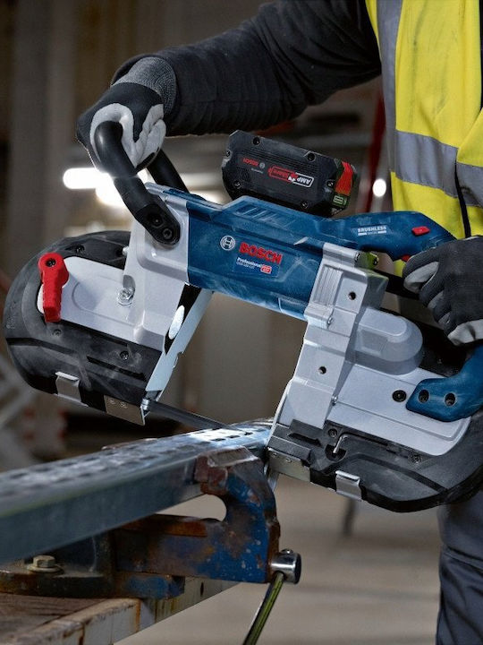 Bosch Pro 2608649007 Λάμες 2τμχ
