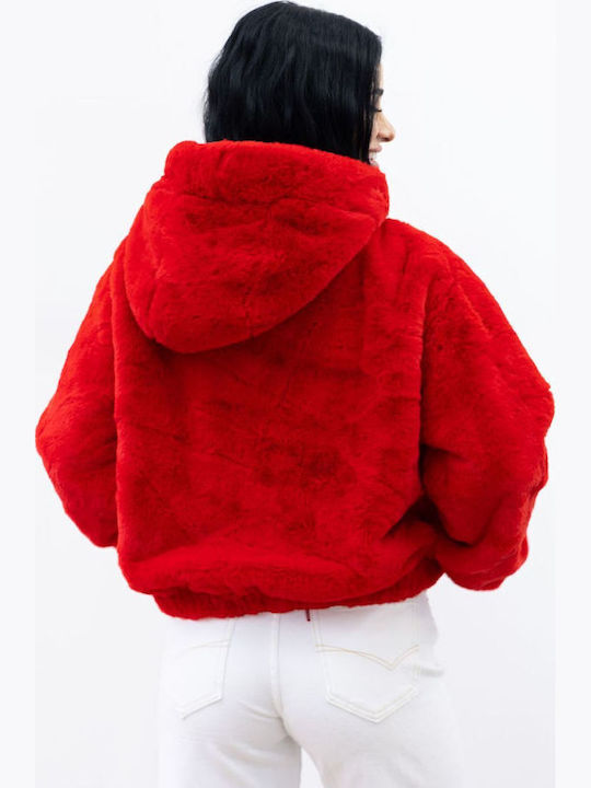 Scurtă Blană de damă Red