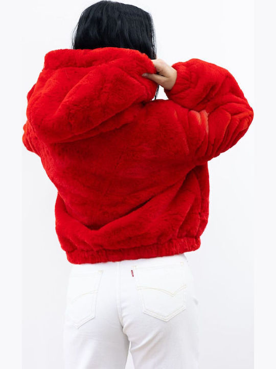 Scurtă Blană de damă Red