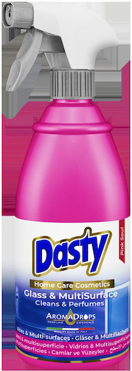 Dasty Allzweckreiniger Spray für Windows 700ml