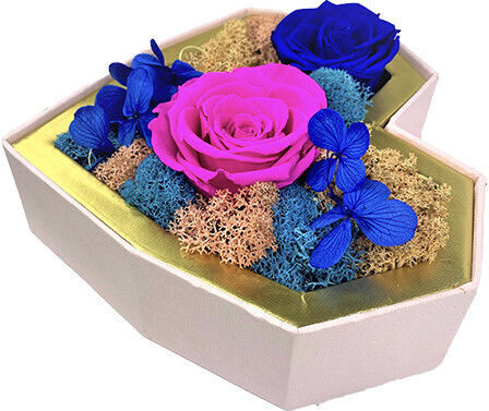 Aranjament Floral Special 5 Flori Criogenate Pe Un Pat De Mușchi Creț Stabilizat Licheni Naturali Aranjament Floral Special 5 Flori Criogenate Pe Un Pat De Mușchi Creț Stabilizat Licheni Naturali