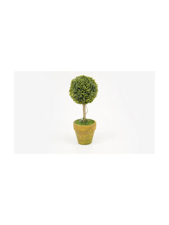Artificial Plant in Small Pot Buxus (Common box) 21cm Faitakis Pack